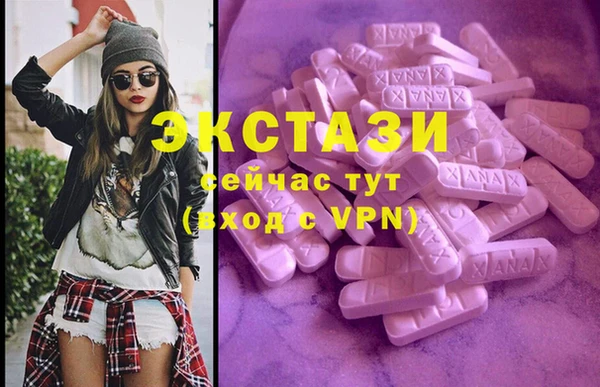 стафф Гусев