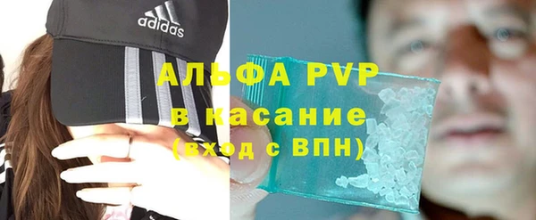 стафф Гусев