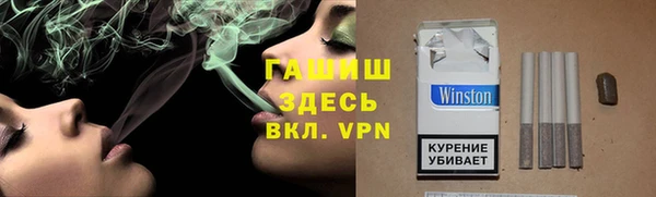 стафф Гусев