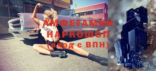 стафф Гусев