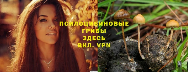 гашишное масло Гусиноозёрск