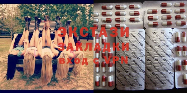 стафф Гусев