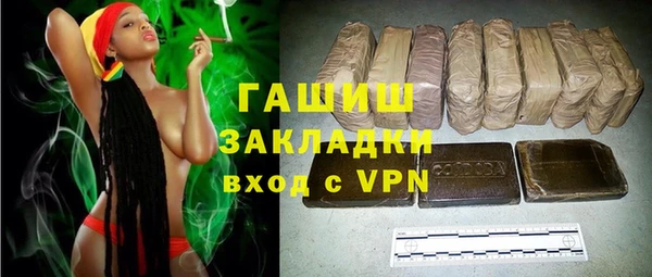 стафф Гусев