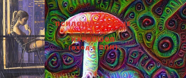 стафф Гусев
