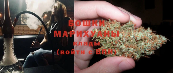 стафф Гусев